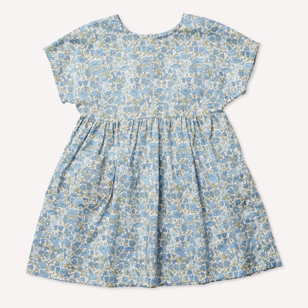 Petits Vilains Marie Everyday Dress in Poppy & Daisy Blues
